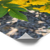 Bird of Paradiseフラワーフォト ポスター (角)