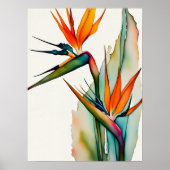 BIRD OF PARADISEポスター ポスター (正面)