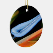 Bird of Paradise写真 セラミックオーナメント (右)