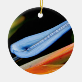 Bird of Paradise写真 セラミックオーナメント