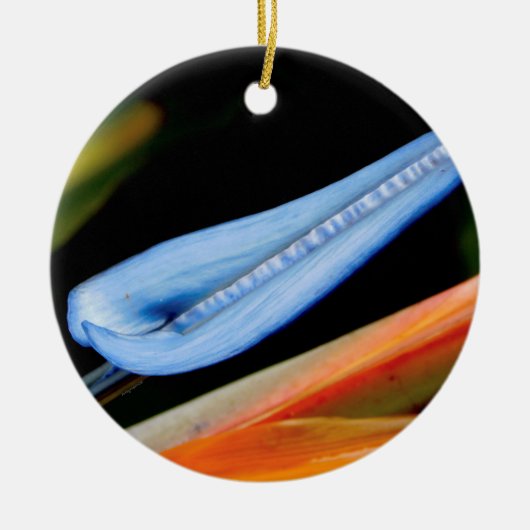 Bird of Paradise写真 セラミックオーナメント (正面)