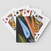 Bird of Paradise写真 トランプ (裏面)