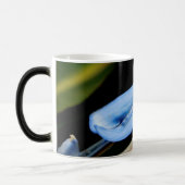 Bird of Paradise写真 モーフィングマグカップ (左)