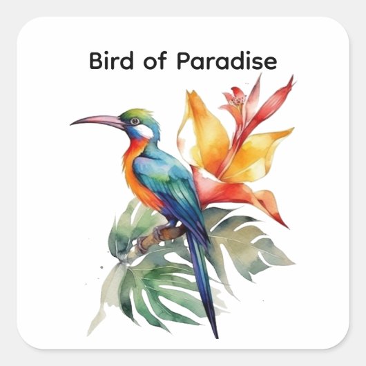 Bird of Paradise、カスタマイズ可能 スクエアシール (正面)