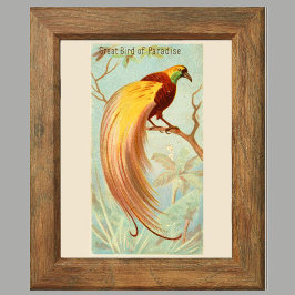 Bird of Paradise,ギャラリーウォールポスター6, 4/6セット ポスター