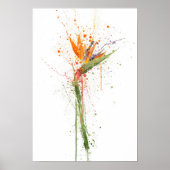 Bird of Paradise ポスター (正面)