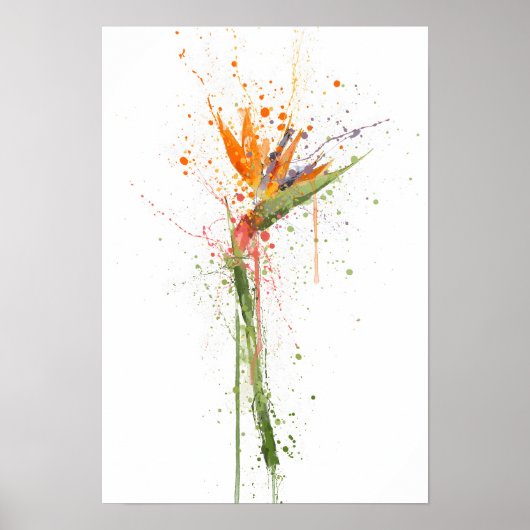 Bird of Paradise ポスター (正面)