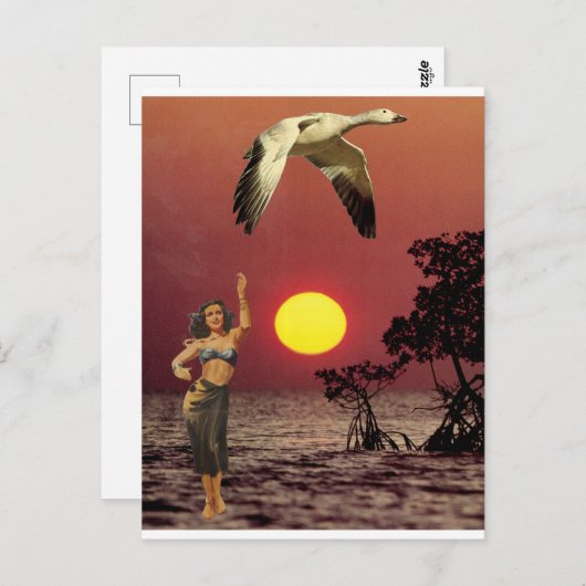 Bird of Paradise - ポストカード (正面/裏面)