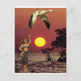 Bird of Paradise - ポストカード