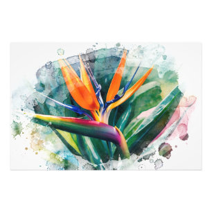 *~* Bird of Paradise AP10 Art絵画's #2 フォトプリント