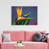 Bird of Paradise Canvas Print キャンバスプリント (インサイチュ (リビング))