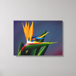 Bird of Paradise Canvas Print キャンバスプリント