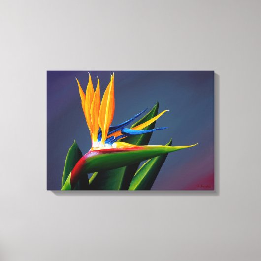 Bird of Paradise Canvas Print キャンバスプリント (正面)