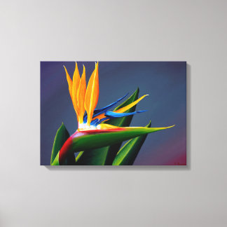 Bird of Paradise Canvas Print キャンバスプリント