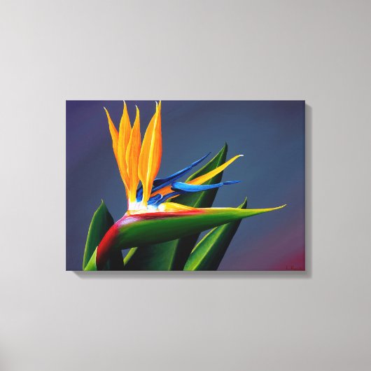 Bird of Paradise Canvas Print キャンバスプリント (正面)