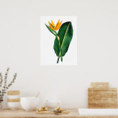 Bird of Paradise Flower Art Decorポスター ポスター (キッチン)