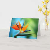 Bird of Paradise I カード (黄色い花)