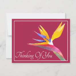 Bird Of Paradise Pink Background 考え'S You ポストカード