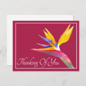 Bird Of Paradise Pink Background 考え'S You ポストカード (正面/裏面)