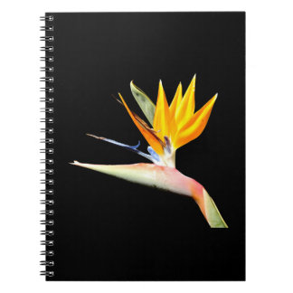 Bird of Paradise Plant Spiral Notebook ノートブック