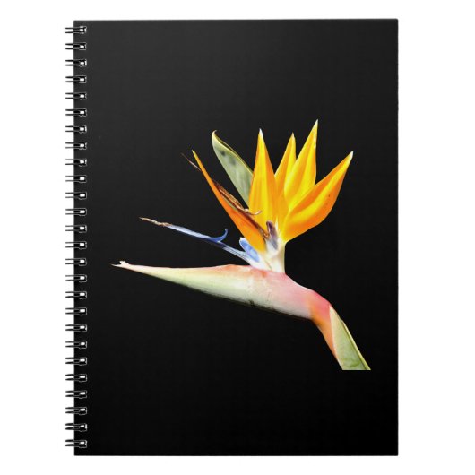 Bird of Paradise Plant Spiral Notebook ノートブック (正面)