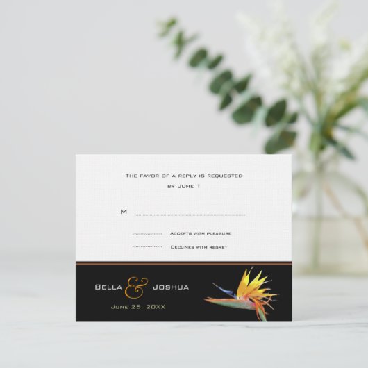 Bird of Paradise RSVP (スタンド正面)