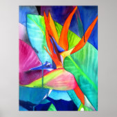 Bird of Paradise Strelitzia水彩花絵 ポスター (正面)