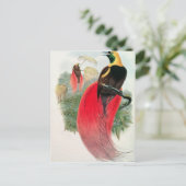 Bird of Paradise、T. Walterによる彫刻 ポストカード (スタンド正面)