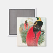 Bird of Paradise、T. Walterによる彫刻 マグネット (正面/裏面)