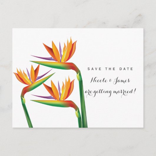 Bird of Paradise Wedding日付はがきを保存 案内ポストカード (正面)