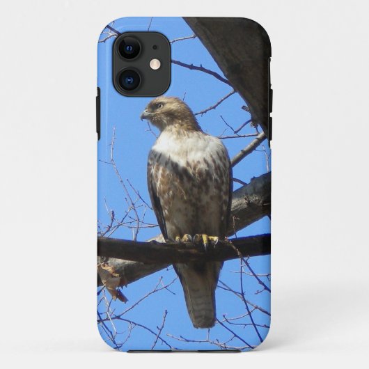 Bird Of Prey iPhone 5ケース Case-Mate iPhoneケース (裏面)
