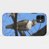 Bird Of Prey iPhone 5ケース Case-Mate iPhoneケース (裏面(横))