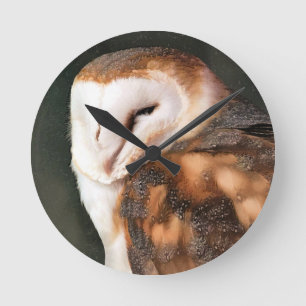 BIRD OF PREY OWL ラウンド壁時計