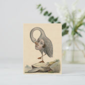 Bird of Self Knowledge ユニークアンティーク記号 ポストカード (スタンド正面)