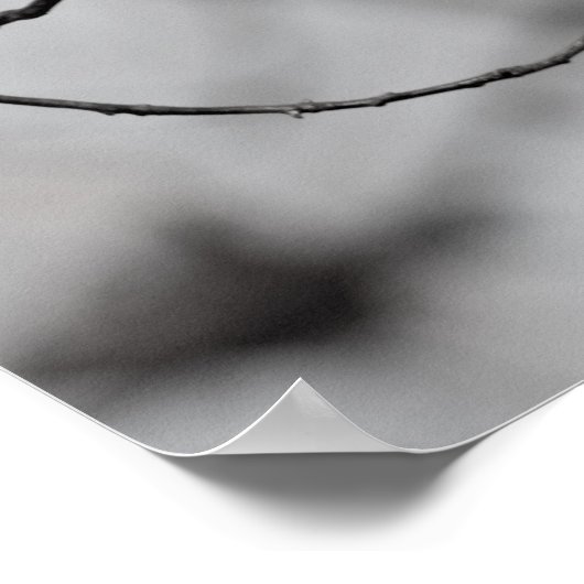 Bird on a branch ポスター (角)