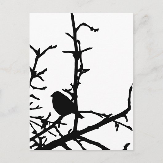 Bird on a branch ポストカード (正面)