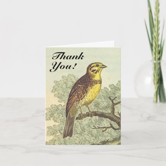 Bird on a branch, Bird Look, "Thank You!" カード (正面)