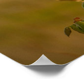 Bird on a branch poster ポスター (角)