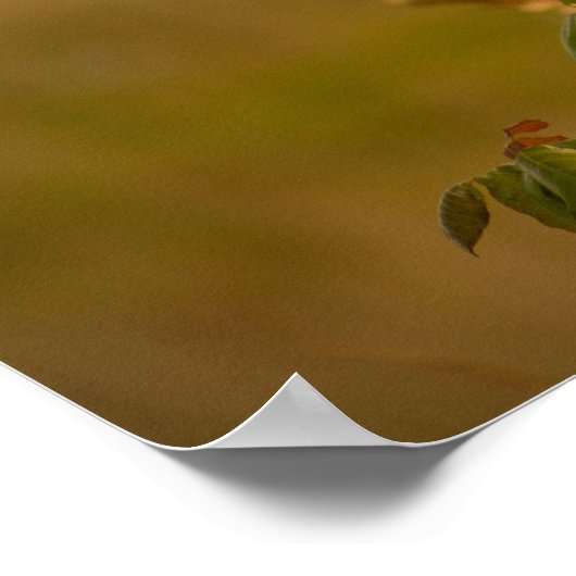 Bird on a branch poster ポスター (角)