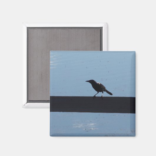 Bird On a Fence Magnet マグネット (正面/裏面)