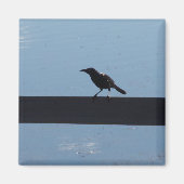 Bird On a Fence Magnet マグネット (正面)