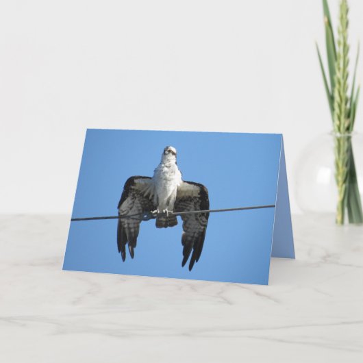 Bird on a Wire - Osprey Greeting Card シーズンカード (正面)