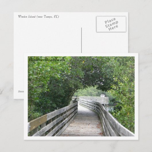 Bird on Boardwalkはがき ポストカード (正面/裏面)