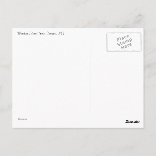 Bird on Boardwalkはがき ポストカード (裏面)