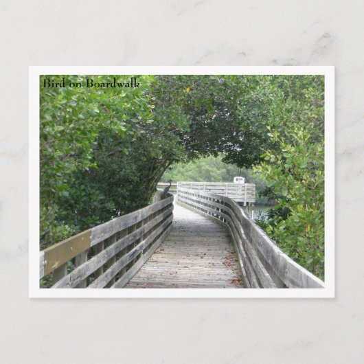 Bird on Boardwalkはがき ポストカード (正面)