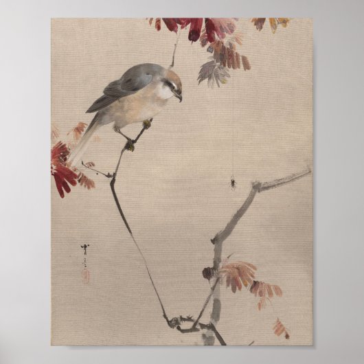 Bird on Branch Watching Spider | 渡辺聖亭 ポスター (正面)
