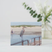 Bird on the jetty – コーパスクリスティ，テキサス州 ポストカード (スタンド正面)