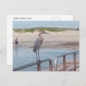 Bird on the jetty – コーパスクリスティ，テキサス州 ポストカード (正面/裏面)