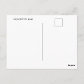 Bird on the jetty – コーパスクリスティ，テキサス州 ポストカード (裏面)