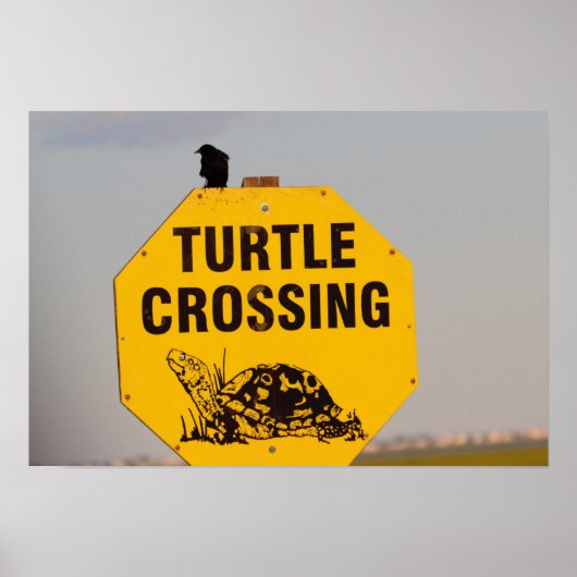 Bird on Turtle Crossingの看板ポスター ポスター (正面)